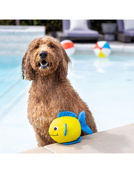 Pipsqueak | Floating