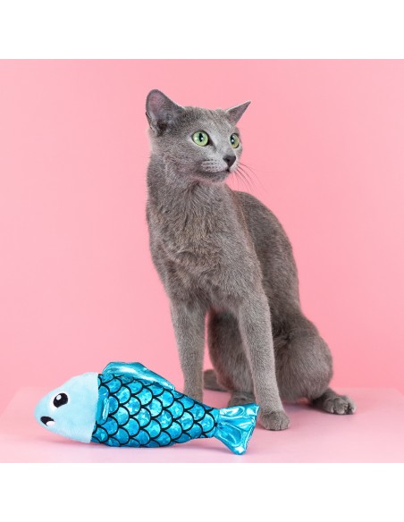 A little fishy | Cat