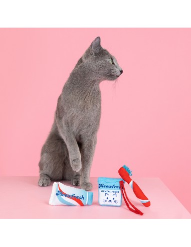 Set Minty fresh | Cat