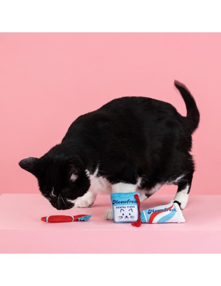 Purr-fect weather | Cat - Set