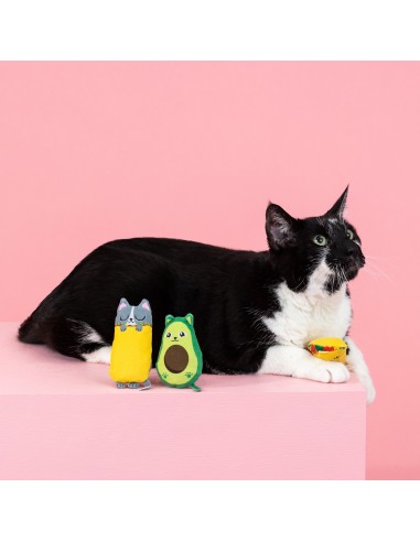 Set Kitty cravings | Cat