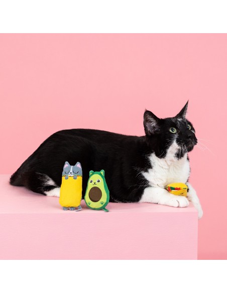 Set Kitty cravings | Cat