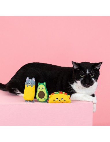 Set Kitty cravings | Cat