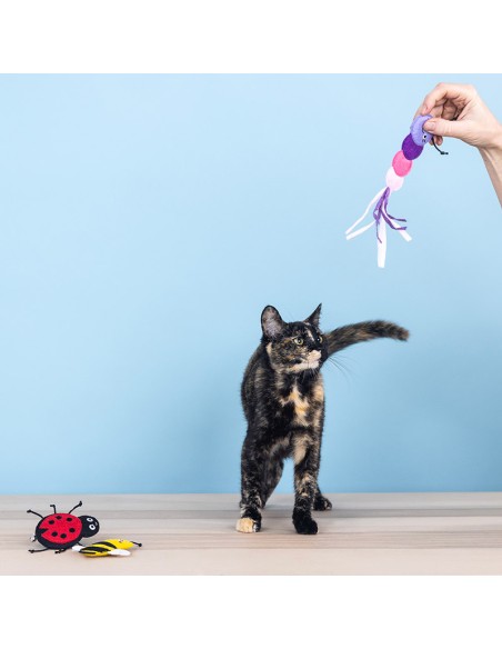 Set Living The Bug Life | Cat