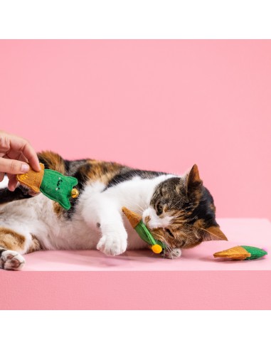 Set Cat-us friends | Cat