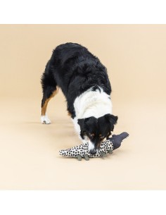 Croc my world | Earth Friendly 2