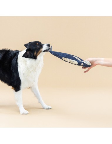 There she blows | Earth Friendly