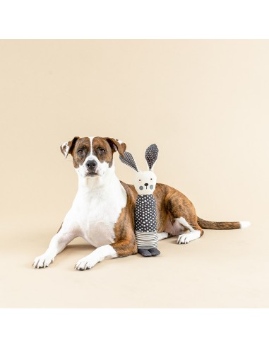 All ears | Earth Friendly