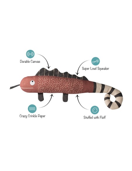 One In A Chameleon | Earth Friendly