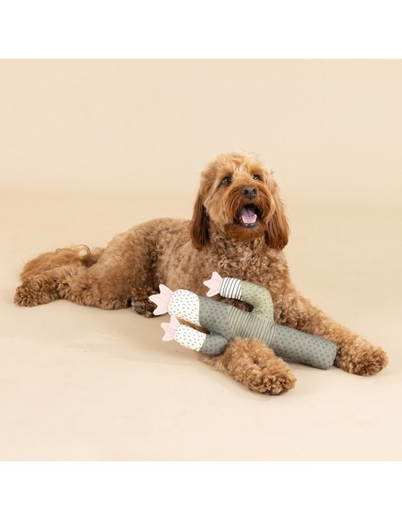 I CAN BE A BIT PRICKLY CNVS DOG TOY