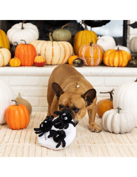 Skull with spiders | Burrow