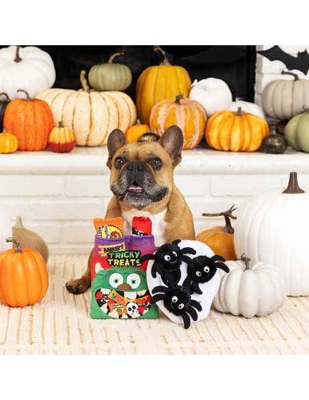 Skull with spiders | Burrow