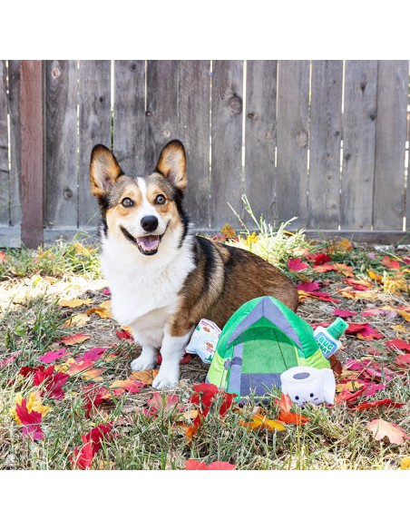 Happy campers | Burrow