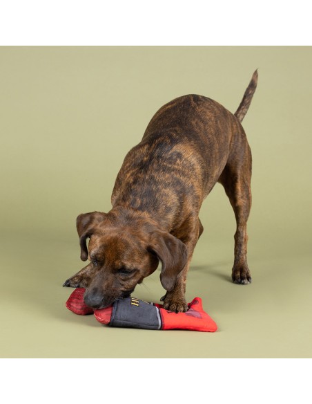 Snack attack hide & seek | Burrow