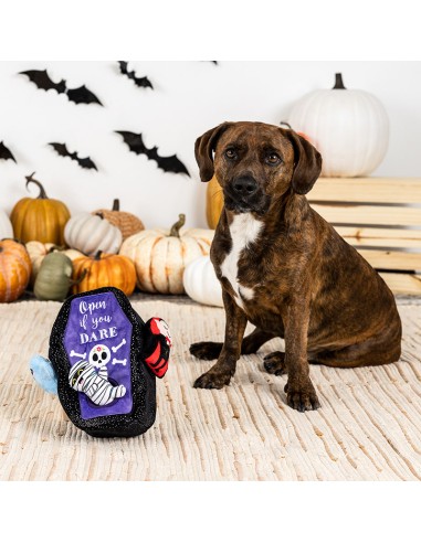 Sleep tight | Burrow