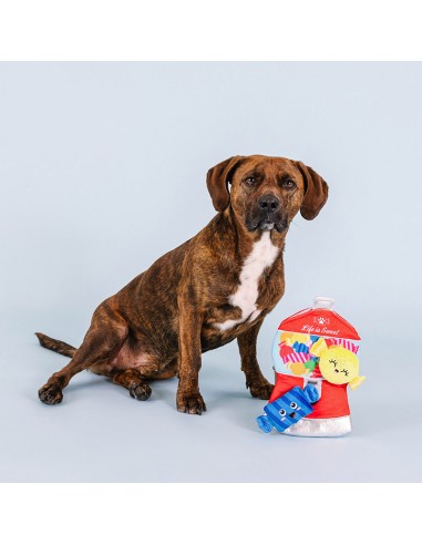 A sweet surprise | Burrow