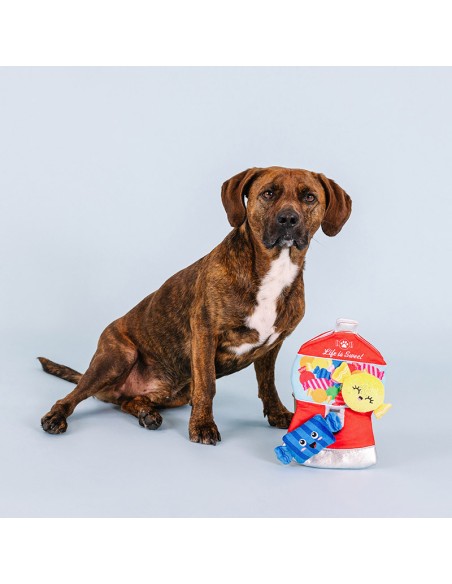 A sweet surprise | Burrow