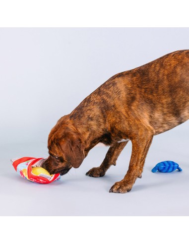 A sweet surprise | Burrow