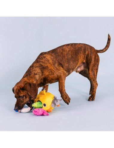 Into the deep | Burrow