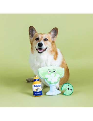 Drop Me A Lime | Burrow