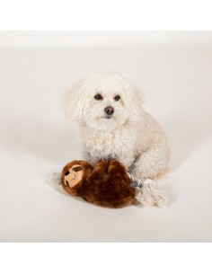 Brown sloth on a rope | Touw 2