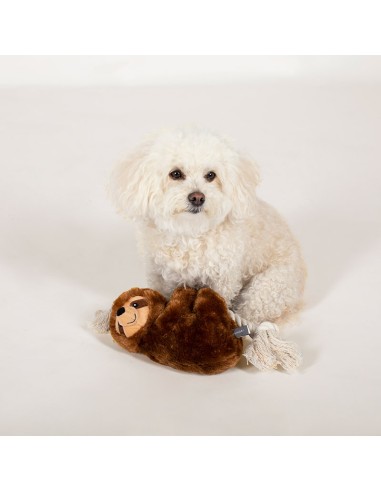 Brown sloth on a rope | Touw