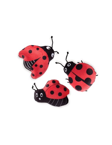 set lady bug