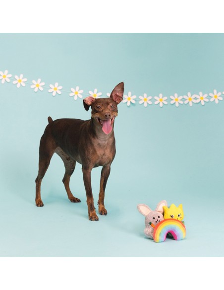 Set Spring in my step