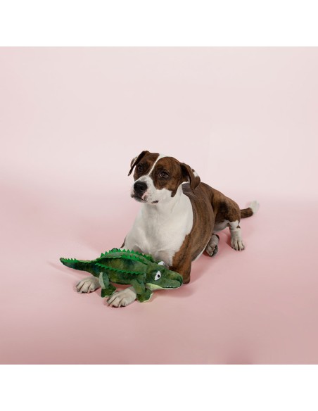 Croc-a-gator