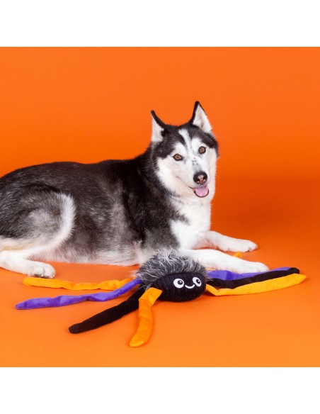 Fringe Trappin' Flies | XXL