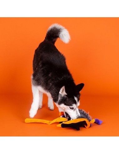 Fringe Trappin' Flies | XXL