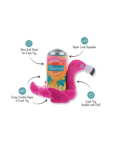 Set Pool days, sun rays