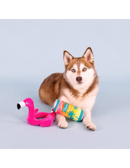 Set Pool days, sun rays