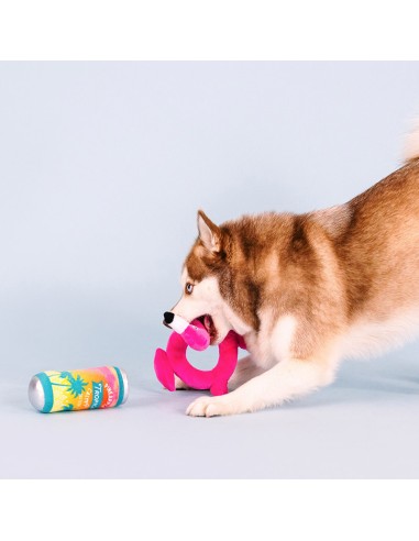 Set Pool days, sun rays