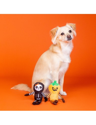 Fringe Oh My Gourd - Set