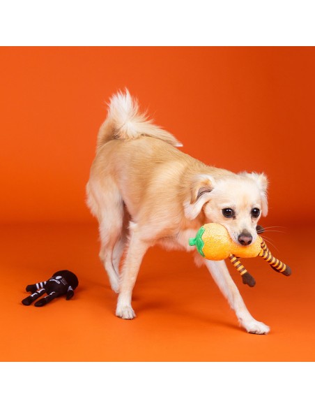 Fringe Oh My Gourd - Set