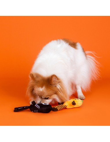 Fringe Oh My Gourd - Set