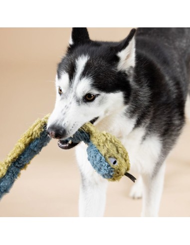 Don't Get Wrapped Up | Earth Friendly