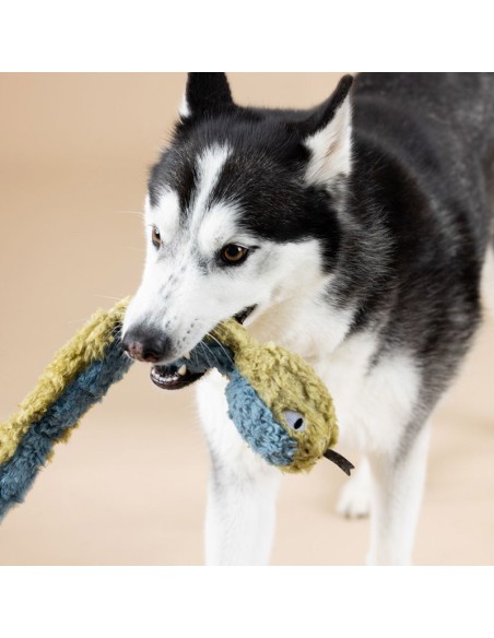 Don't Get Wrapped Up | Earth Friendly