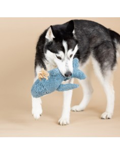 Oh Whale | Earth Friendly 2