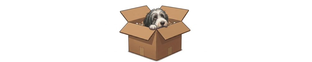 Mystery box