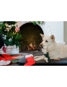 Kerst