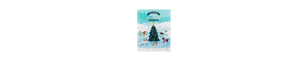 Précommandez de Noël Fringe.