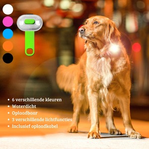 MAX & MOLLY // In de avond veilig genieten van een wandeling? Met de led lampjes van Max & Molly zorg je ervoor dat je hond altijd zichtbaar is. De Matrix Ultra Led is een gebruiksvriendelijk, duurzaam en verkrijgbaar in 6 verschillende, vrolijke kleuren. Daarnaast zijn de eenvoudig in gebruik en zijn ze oplaadbaar, geen batterijen nodig!

Eerder op de hoogte zijn van nieuwe producten en aanbiedingen? Schrijf je in op onze website op de nieuwsbrief!

#dogs #dogsofinstagram #instagramdogs #instagramdog #dogbrands #dog #dogswithamission #dogstagram #dogslife #dogsofinsta #dogsofinstaworld #beardedcollie #beardedcolliesofinstagram #dogproducts #groothandel #doglovers #dogsoftheworld #dogsoftheday #instapets #instacollie #instapetsofinstagram #hondenvaninstagram #hondenleven #hondenliefde #hondenvannederland #dogsoftheworld #Max&Molly #catcollar #catsofinstagram